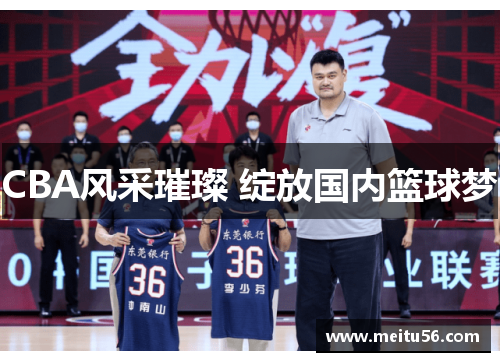 CBA风采璀璨 绽放国内篮球梦