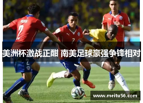 美洲杯激战正酣 南美足球豪强争锋相对
